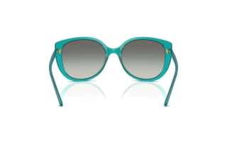 Bagside Vogue Eyewear VO5623S (319111)