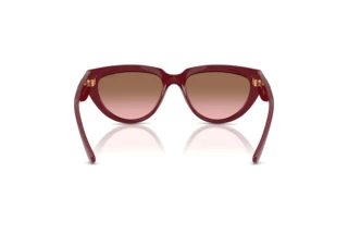 Bagside Vogue Eyewear VO5629S (304814)