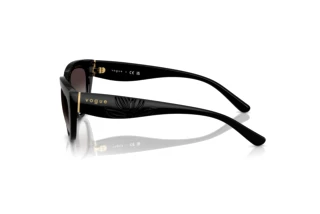 Sidevisning Vogue Eyewear VO5629S (W44/8G)