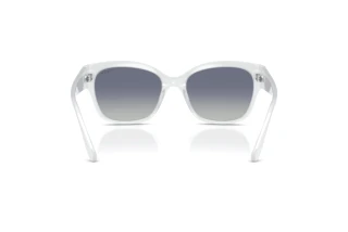 Bagside Vogue Eyewear VO5638SU (32204L)