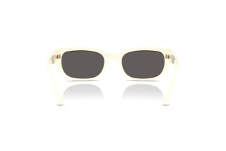 Bagside Vogue Eyewear VO5669S (316787)