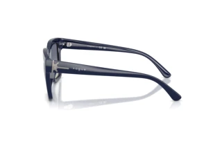 Sidevisning Vogue Eyewear VO5690S (22884L)