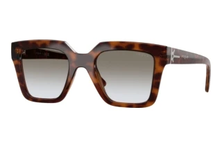 Forfra Vogue Eyewear VO5690S (23868G)