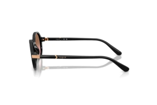 Sidevisning Vogue Eyewear VO5692S (W44/14)