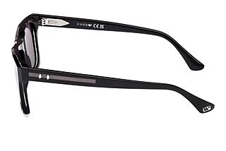 Sidevisning Web Eyewear WE0350 (05A)