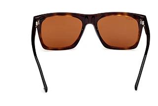 Bagside Web Eyewear WE0350 (55E)
