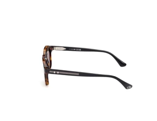 Sidevisning Web Eyewear WE0384 (55N)