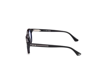 Sidevisning Web Eyewear WE0384 (56V)