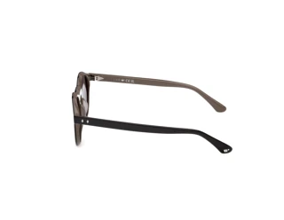 Sidevisning Web Eyewear WE0398 (05A)