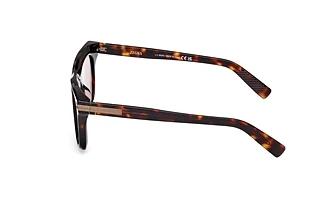 Sidevisning Zegna EZ0270 (55E)