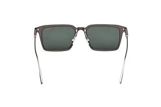 Bagside Zegna EZ0273-H (09N)