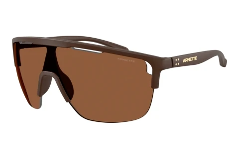 Solbriller Arnette AN4381 3050/2