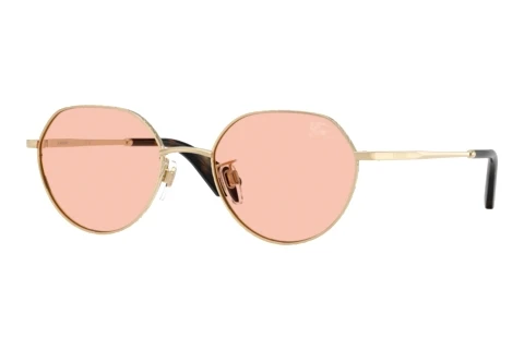 Solbriller Burberry BE3173D 110984