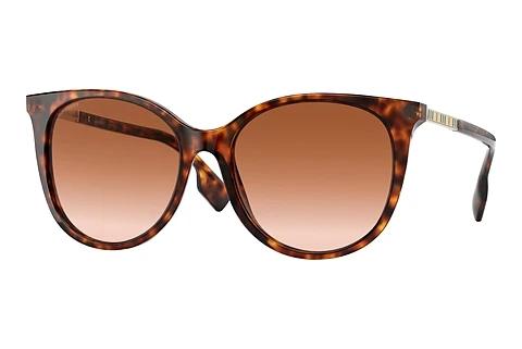 Solbriller Burberry ALICE (BE4333 331613)