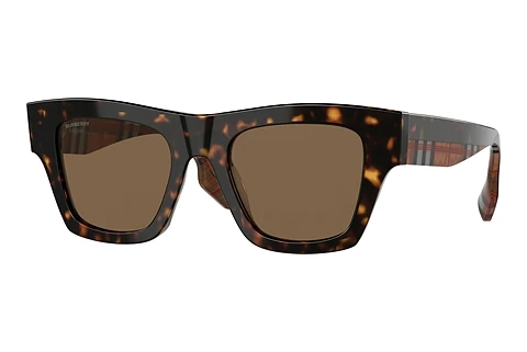 Solbriller Burberry ERNEST (BE4360 399173)
