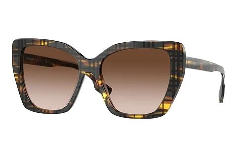 Solbriller Burberry TAMSIN (BE4366 398113)