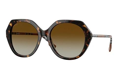 Solbriller Burberry VANESSA (BE4375 4017T5)