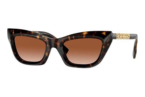 Solbriller Burberry BE4409 300213