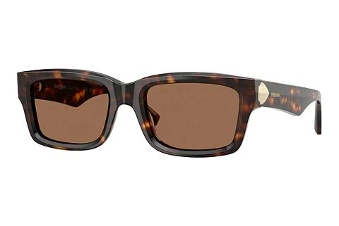 Solbriller Burberry BE4443 300273