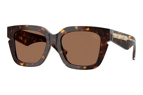 Solbriller Burberry BE4453 300273