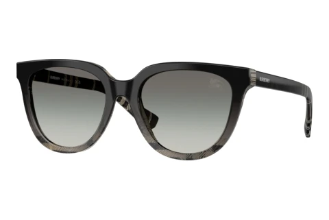 Solbriller Burberry BE4469 420011