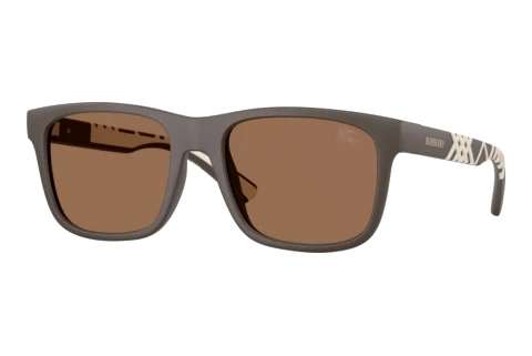 Solbriller Burberry BE4499U 423473