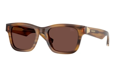 Solbriller Burberry BE4504 425373