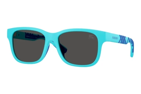 Solbriller Burberry JB4007U 423587