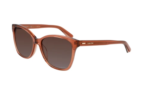 Solbriller Calvin Klein CK21529S N 601