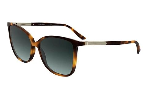 Solbriller Calvin Klein CK25504S 240