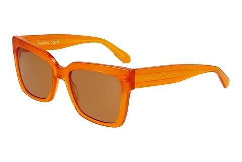 Solbriller Calvin Klein CKJ24606S 201