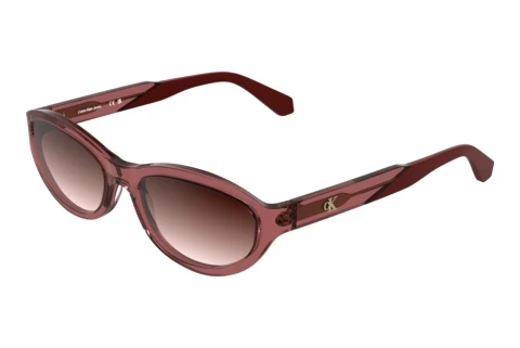 Solbriller Calvin Klein CKJ25618S 600