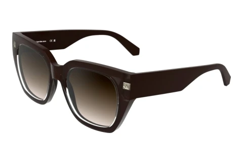 Solbriller Calvin Klein CKJ25620S 210