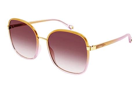 Solbriller Chloé CH0031S 008