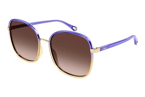 Solbriller Chloé CH0031S 017