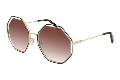 Solbriller Chloé CH0046S 004