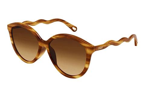 Solbriller Chloé CH0087S 002