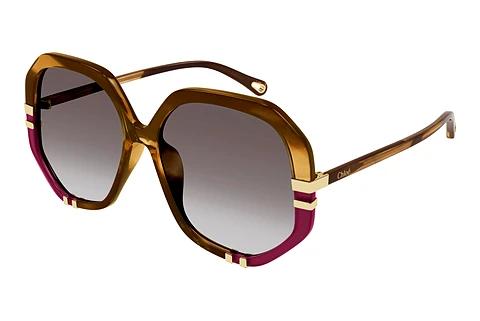 Solbriller Chloé CH0105S 009