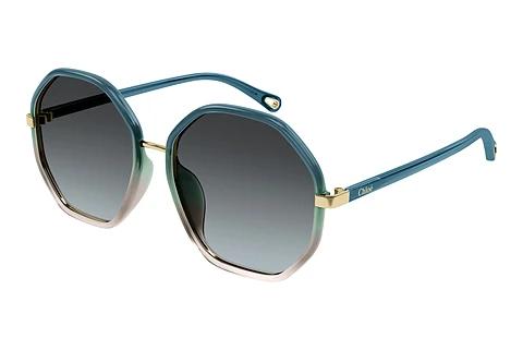 Solbriller Chloé CH0133SA 006