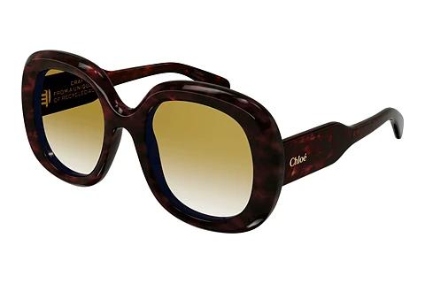 Solbriller Chloé CH0153S 002