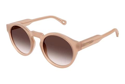Solbriller Chloé CH0158S 004