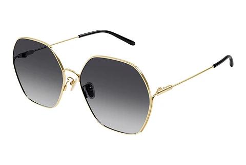 Solbriller Chloé CH0169SA 005