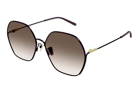 Solbriller Chloé CH0169SA 007