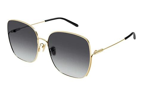 Solbriller Chloé CH0170SA 005