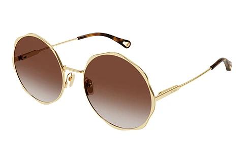 Solbriller Chloé CH0184S 003
