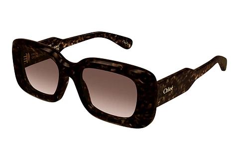 Solbriller Chloé CH0188S 002