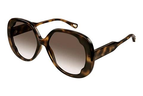Solbriller Chloé CH0195S 002