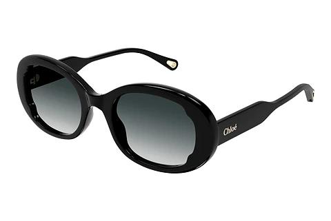 Solbriller Chloé CH0197SA 001