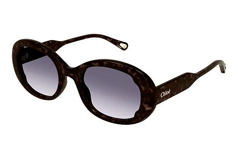 Solbriller Chloé CH0197SA 002