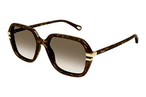Solbriller Chloé CH0204S 002